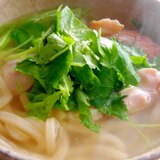 鶏肉と三つ葉でフォー風うどん